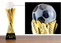 De Trofeekop van de douanehars met Kristallen bol voor Voetbalbeëindigen - Jaartoekenning